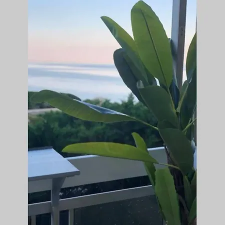 Avec Terrasse Vue A 50 M *