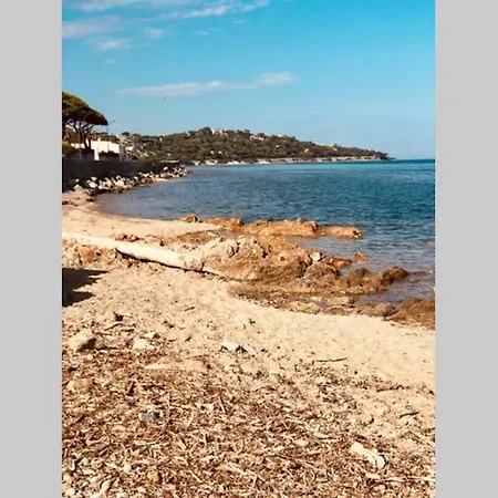 Avec Terrasse Vue A 50 M Διαμέρισμα *