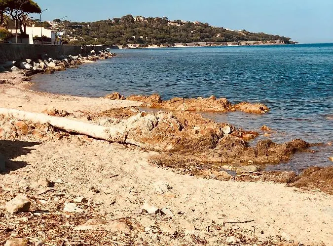 Avec Terrasse Vue A 50 M * Sainte-Maxime