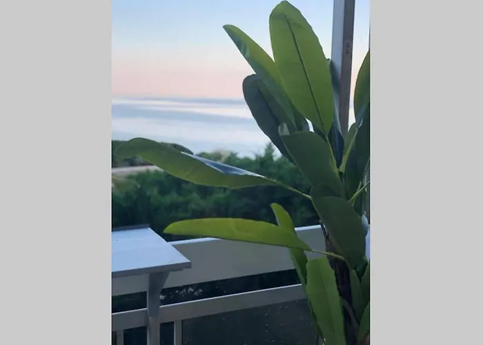 Avec Terrasse Vue A 50 M *